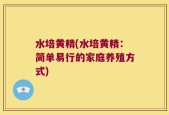 水培黄精(水培黄精：简单易行的家庭养殖方式)