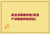 商洛滇黄精种苗(商洛产滇黄精种苗供应)