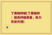 丁黄精种稹(丁黄精种：提高种植质量，助力农业升级)