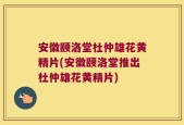 安徽颐洛堂杜仲雄花黄精片(安徽颐洛堂推出杜仲雄花黄精片)