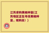 江苏求购黄精种苗(江苏地区正在寻找黄精种苗，现购买！)