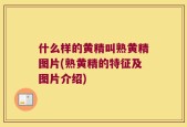 什么样的黄精叫熟黄精图片(熟黄精的特征及图片介绍)