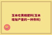 玉米吃黄精肥料(玉米增加产量的一种养料)