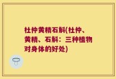 杜仲黄精石斛(杜仲、黄精、石斛：三种植物对身体的好处)