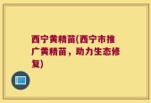 西宁黄精苗(西宁市推广黄精苗，助力生态修复)