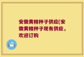 安徽黄精种子供应(安徽黄精种子现有供应，欢迎订购