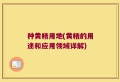 种黄精用地(黄精的用途和应用领域详解)