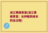 浙江黄精育苗(浙江黄精育苗：从种植到成长的全过程)
