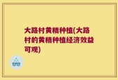 大路村黄精种植(大路村的黄精种植经济效益可观)