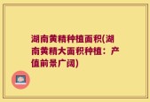 湖南黄精种植面积(湖南黄精大面积种植：产值前景广阔)