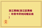 澄江黄精(澄江区黄精：珍贵中药材闪耀云南)