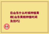 在山东什么时候种植黄精(山东黄精种植时间及技巧)