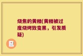 烧焦的黄精(黄精被过度烧烤致变黑，引发质疑)
