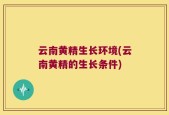 云南黄精生长环境(云南黄精的生长条件)