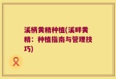 溪柄黄精种植(溪畔黄精：种植指南与管理技巧)