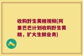 收购野生黄精视频(阿里巴巴计划收购野生黄精，扩大生鲜业务)