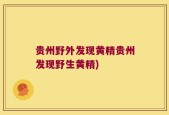 贵州野外发现黄精贵州发现野生黄精)