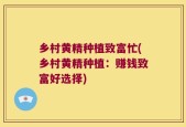乡村黄精种植致富忙(乡村黄精种植：赚钱致富好选择)