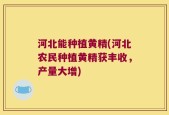 河北能种植黄精(河北农民种植黄精获丰收，产量大增)