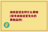 湖南省适合种什么黄精(探寻湖南适宜生长的黄精品种)