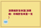 滇黄精野生块茎(滇黄精：珍稀野生块茎一览)