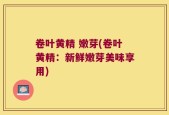 卷叶黄精 嫩芽(卷叶黄精：新鲜嫩芽美味享用)