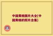 中国黄精图片大全(中国黄精的照片合集)