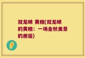 双龙峡 黄精(双龙峡的黄精：一场金秋美景的邂逅)