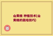 山黄精 种植技术(山黄精的栽培技巧)