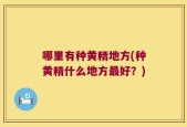 哪里有种黄精地方(种黄精什么地方最好？)