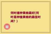 何时播种黄精最好(何时是种植黄精的最佳时间？)
