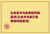 云南省寻甸县黄精种植基地(云南寻甸县打造黄精种植基地)
