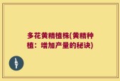 多花黄精植株(黄精种植：增加产量的秘诀)
