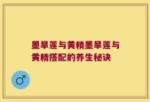 墨旱莲与黄精墨旱莲与黄精搭配的养生秘诀