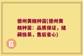 德州黄精种苗(德州黄精种苗：品质保证，储藏极易，售后省心)