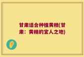 甘肃适合种植黄精(甘肃：黄精的宜人之地)