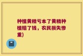种植黄精亏本了黄精种植赔了钱，农民损失惨重)