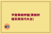 学做黄精种植(黄精种植实用技巧大全)