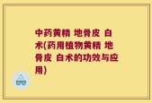 中药黄精 地骨皮 白术(药用植物黄精 地骨皮 白术的功效与应用)