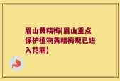 眉山黄精梅(眉山重点保护植物黄精梅现已进入花期)