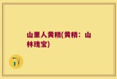 山里人黄精(黄精：山林瑰宝)