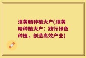 滇黄精种植大户(滇黄精种植大户：践行绿色种植，创造高效产业)