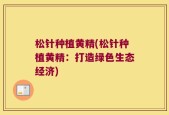 松针种植黄精(松针种植黄精：打造绿色生态经济)