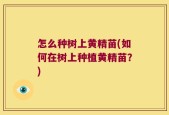 怎么种树上黄精苗(如何在树上种植黄精苗？)