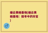 缙云黄精基地(缙云黄精基地：探寻中药珍宝)