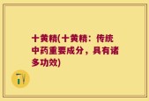 十黄精(十黄精：传统中药重要成分，具有诸多功效)