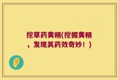 挖草药黄精(挖掘黄精，发现其药效奇妙！)