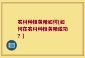 农村种植黄精如何(如何在农村种植黄精成功？)