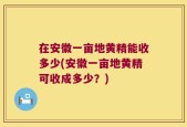 在安徽一亩地黄精能收多少(安徽一亩地黄精可收成多少？)