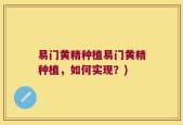 易门黄精种植易门黄精种植，如何实现？)